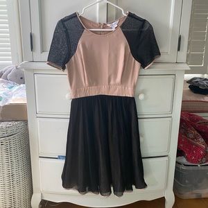 BCBG Fit and Flare Nude/Lace Dress